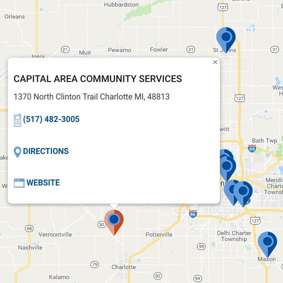 A screenshot of Michigan 2-1-1's interactive map search